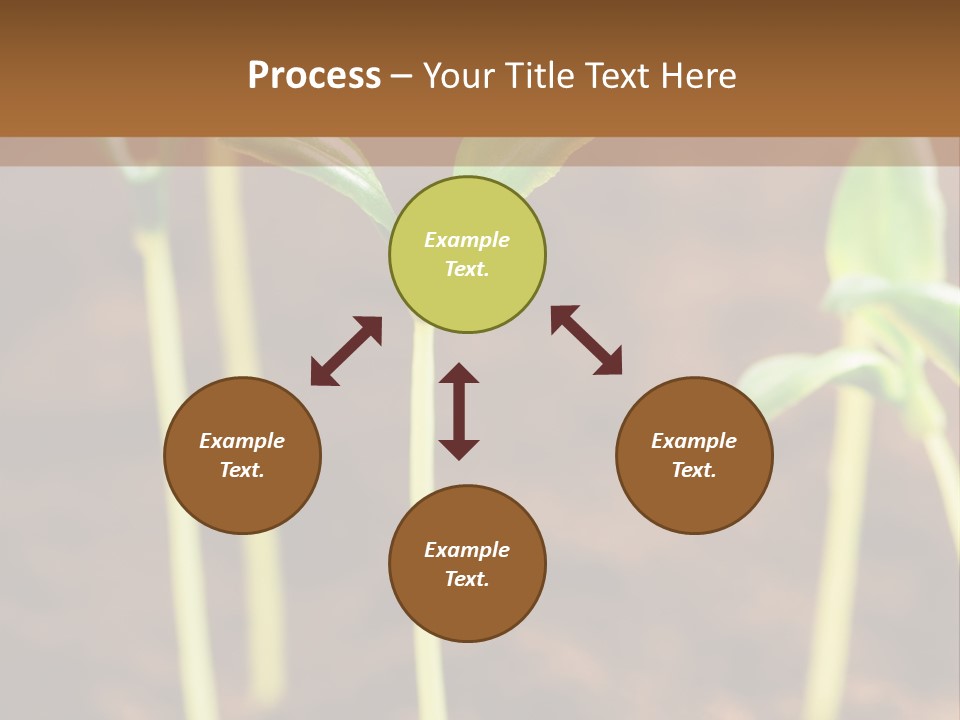 Sprout Plant Seed PowerPoint Template