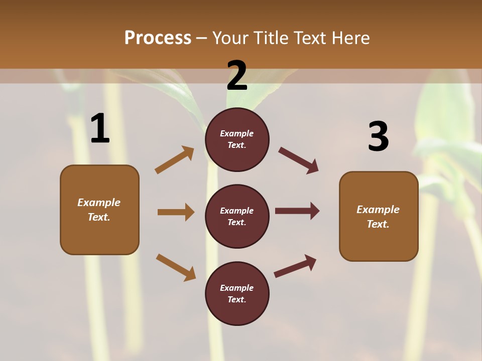 Sprout Plant Seed PowerPoint Template