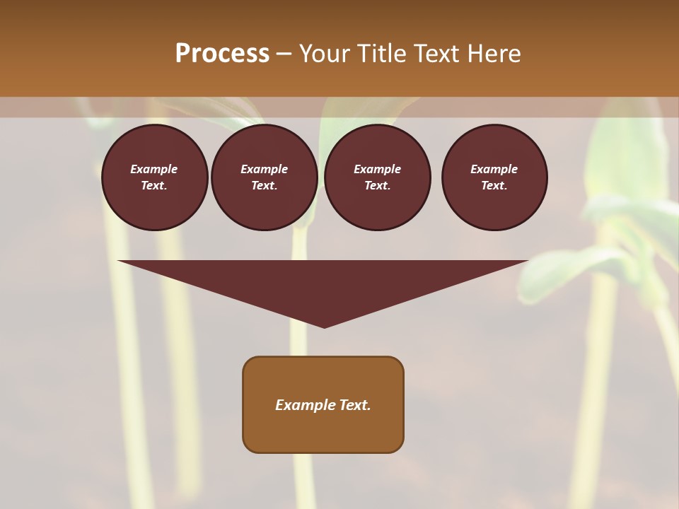 Sprout Plant Seed PowerPoint Template