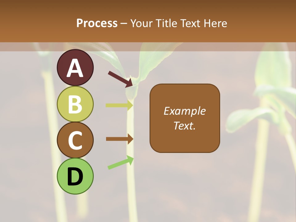 Sprout Plant Seed PowerPoint Template