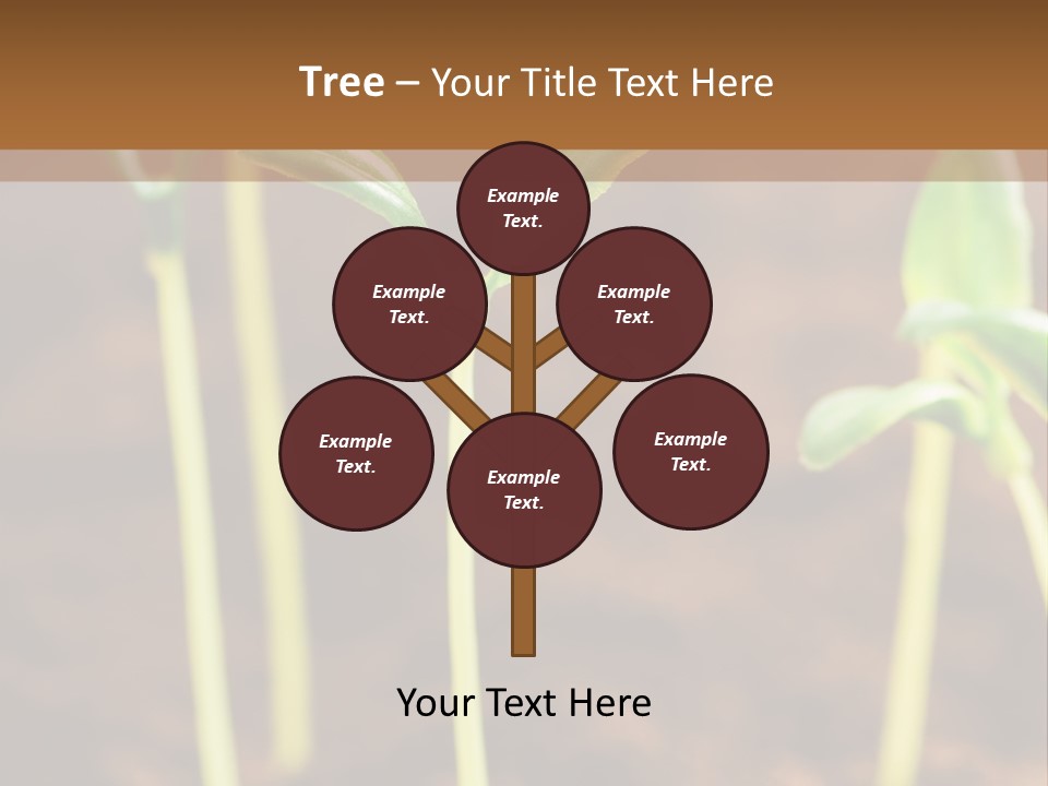 Sprout Plant Seed PowerPoint Template