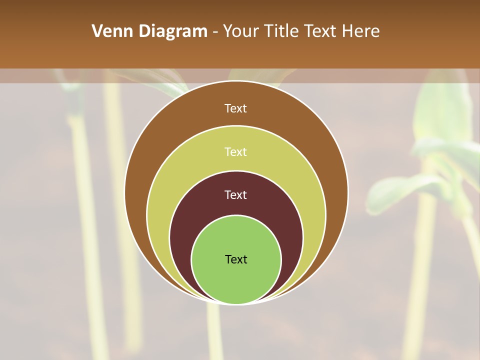 Sprout Plant Seed PowerPoint Template