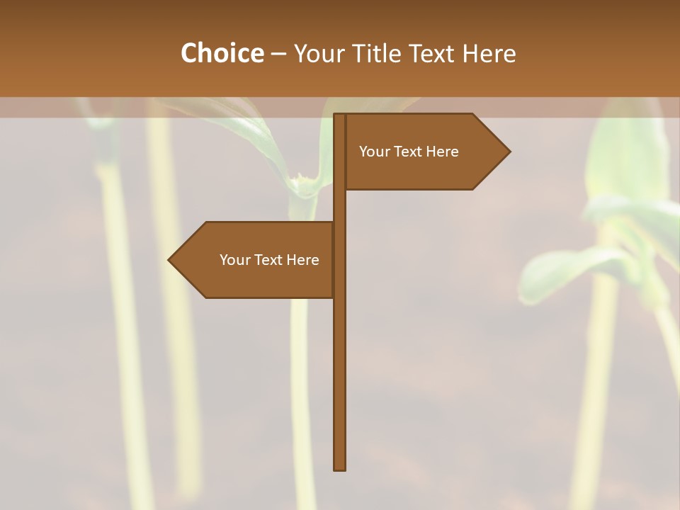 Sprout Plant Seed PowerPoint Template