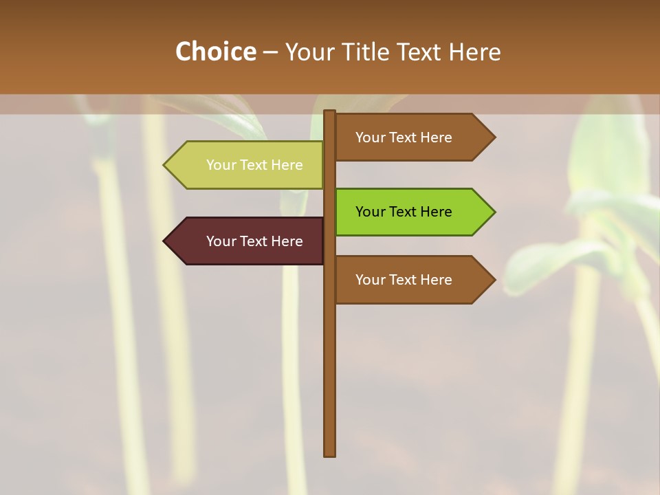 Sprout Plant Seed PowerPoint Template