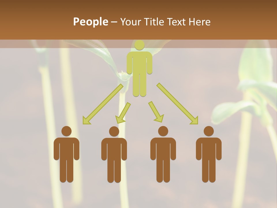 Sprout Plant Seed PowerPoint Template