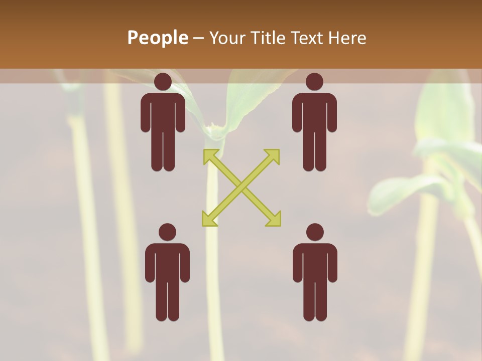 Sprout Plant Seed PowerPoint Template