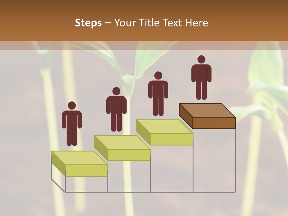 Sprout Plant Seed PowerPoint Template