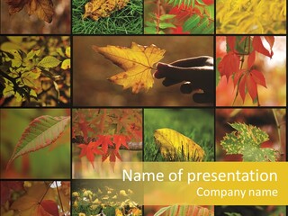 Fall Leaves Collage PowerPoint Template