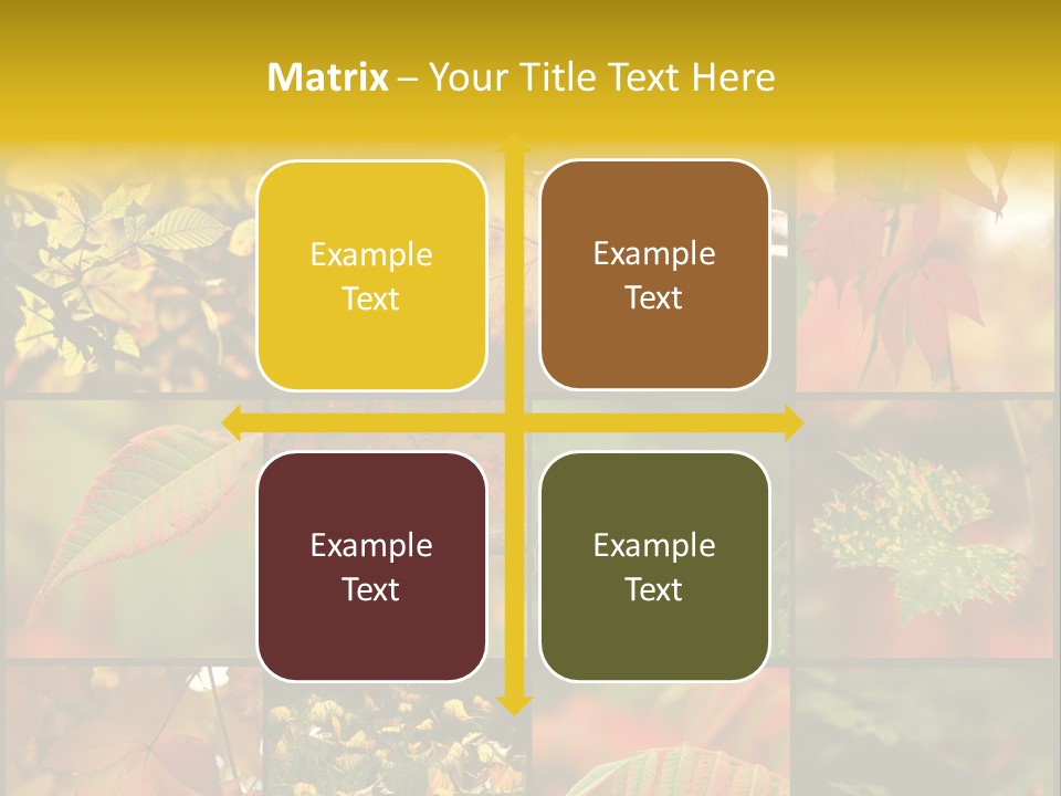 Fall Leaves Collage PowerPoint Template