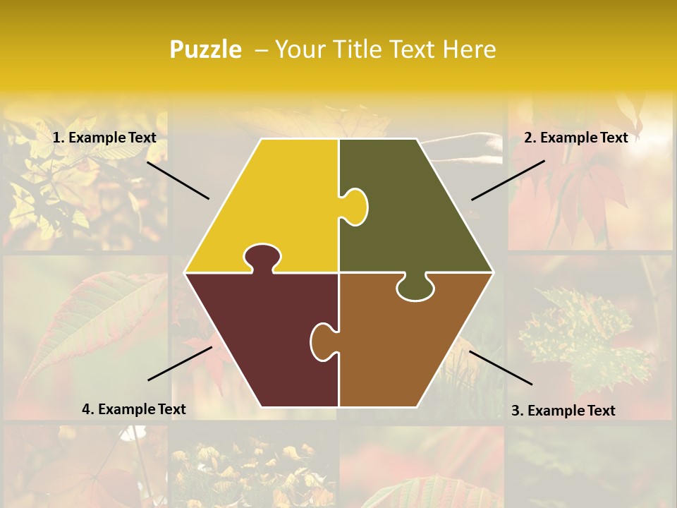 Fall Leaves Collage PowerPoint Template