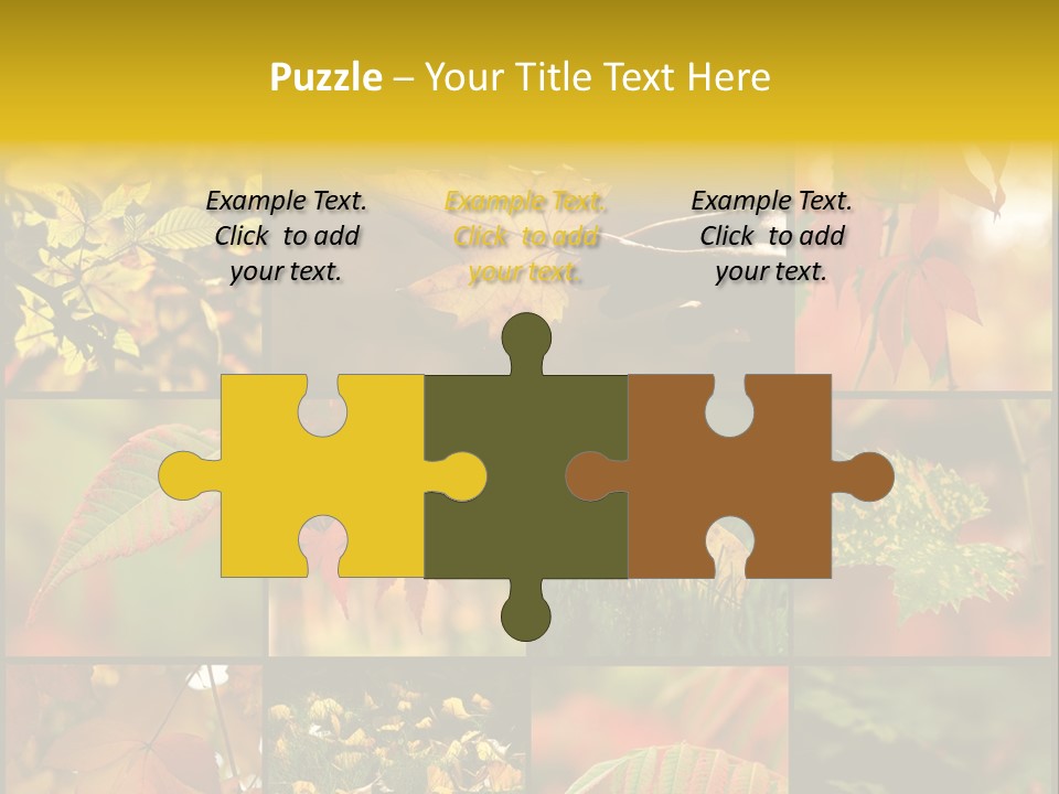 Fall Leaves Collage PowerPoint Template