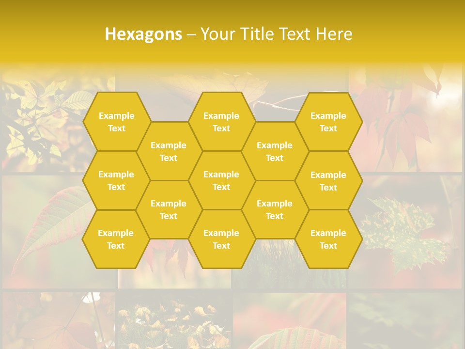 Fall Leaves Collage PowerPoint Template