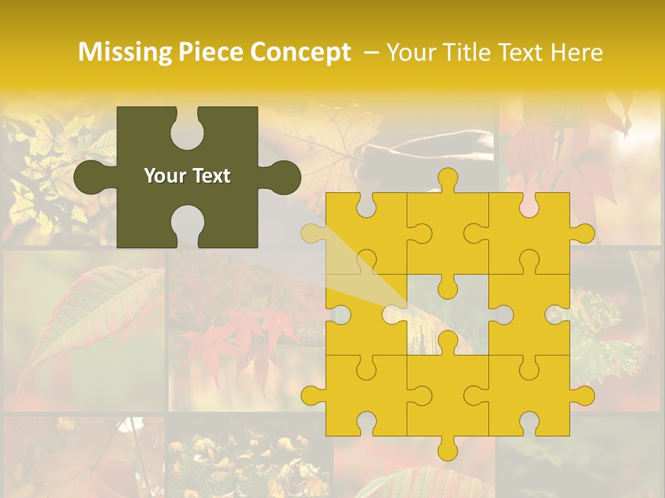 Fall Leaves Collage PowerPoint Template