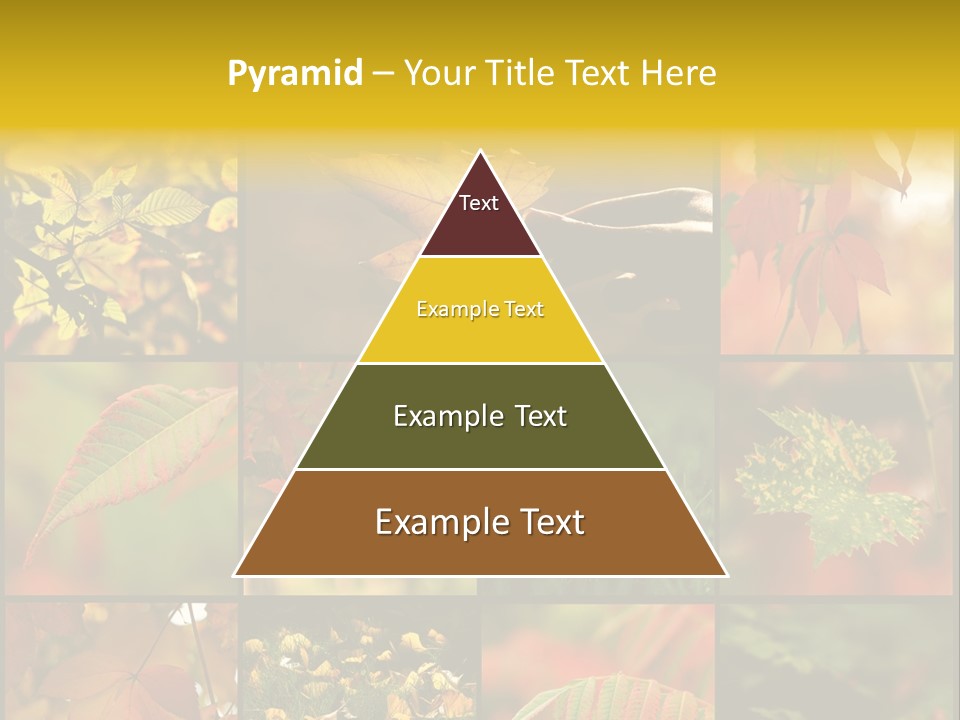 Fall Leaves Collage PowerPoint Template