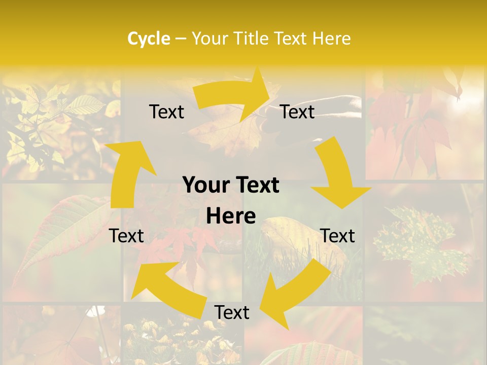 Fall Leaves Collage PowerPoint Template