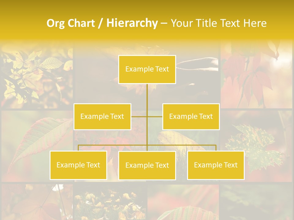 Fall Leaves Collage PowerPoint Template