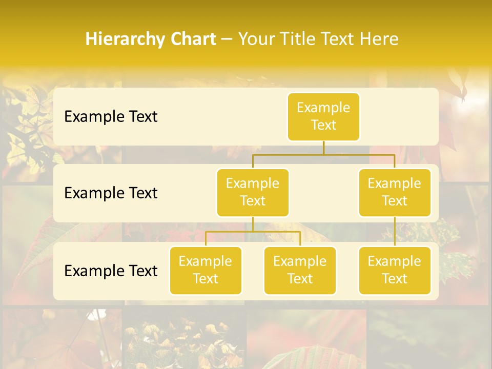 Fall Leaves Collage PowerPoint Template