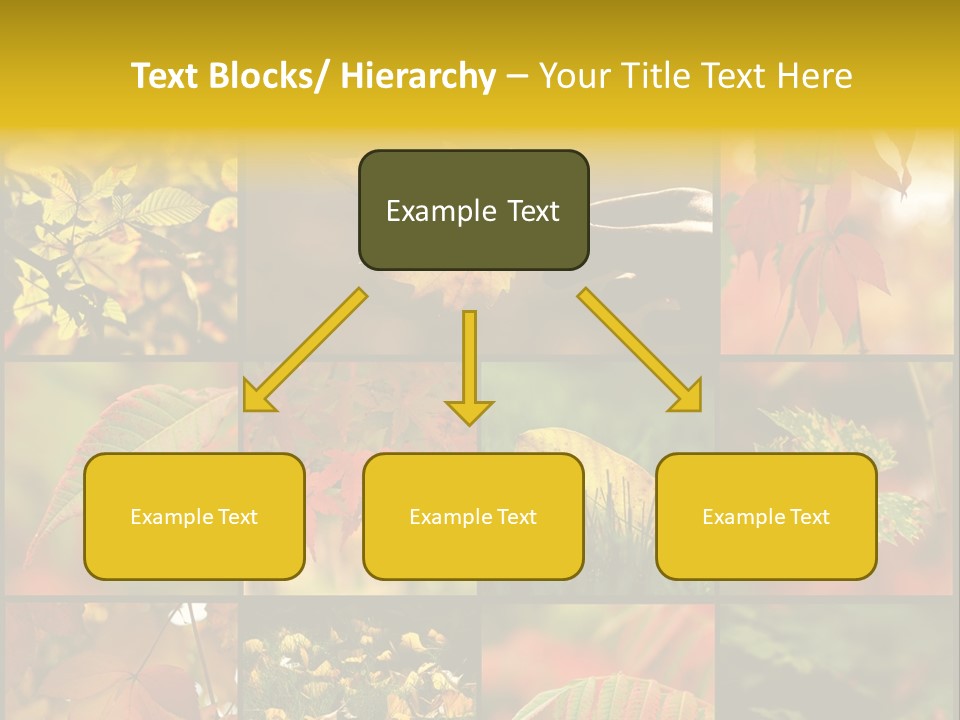 Fall Leaves Collage PowerPoint Template