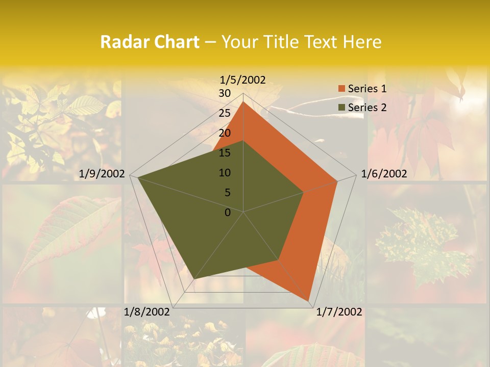 Fall Leaves Collage PowerPoint Template