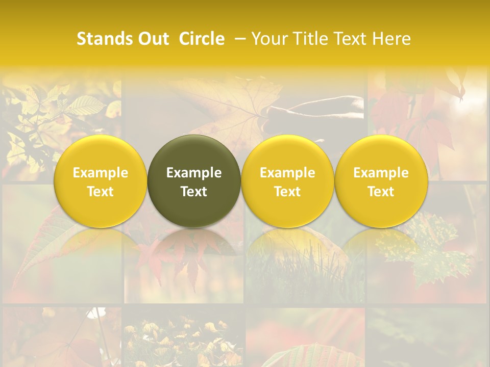 Fall Leaves Collage PowerPoint Template