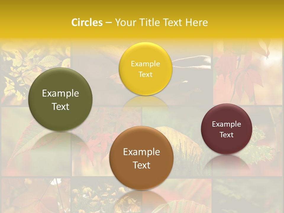 Fall Leaves Collage PowerPoint Template