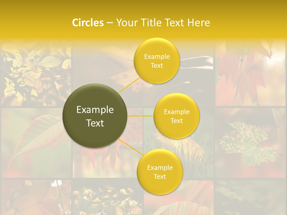 Fall Leaves Collage PowerPoint Template