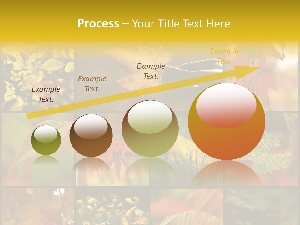 Fall Leaves Collage PowerPoint Template