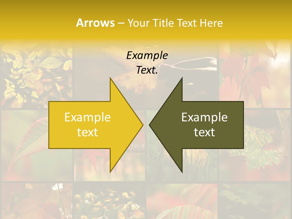 Fall Leaves Collage PowerPoint Template