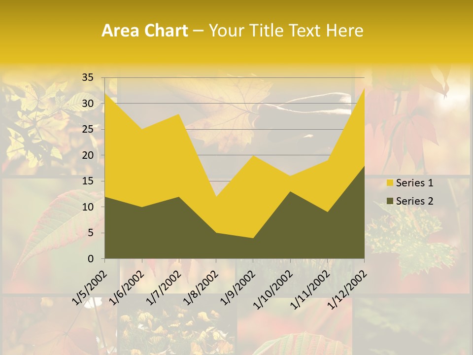 Fall Leaves Collage PowerPoint Template