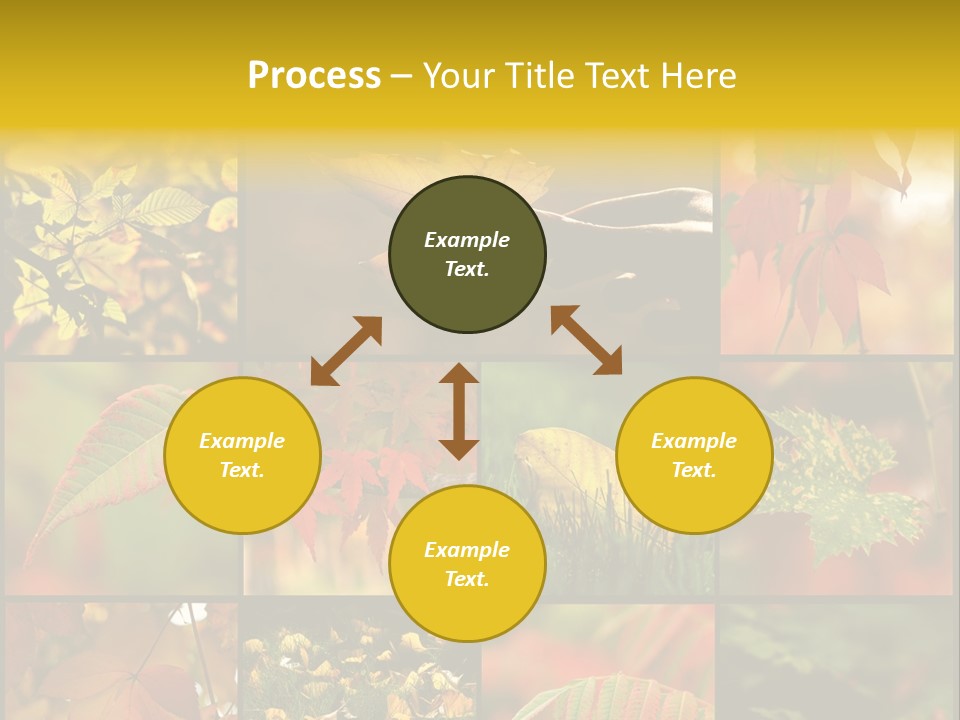 Fall Leaves Collage PowerPoint Template