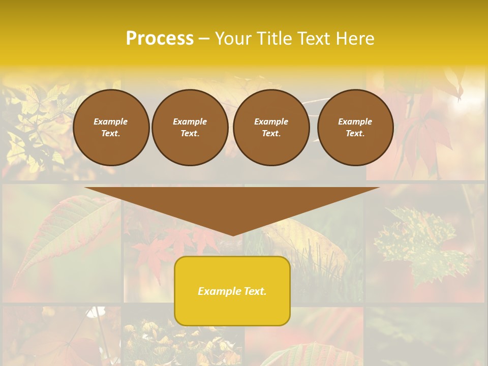 Fall Leaves Collage PowerPoint Template