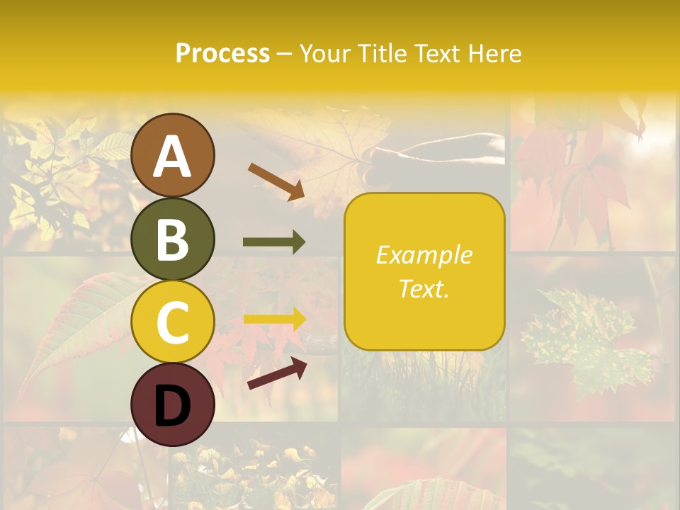 Fall Leaves Collage PowerPoint Template