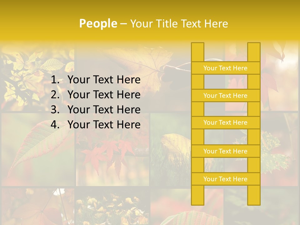 Fall Leaves Collage PowerPoint Template