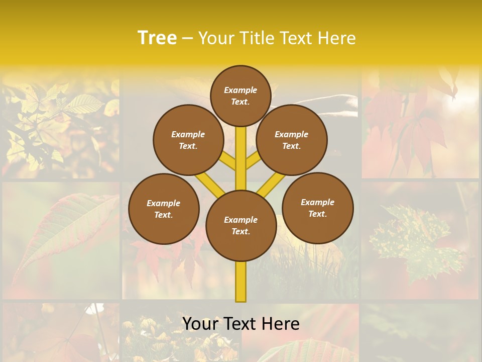 Fall Leaves Collage PowerPoint Template