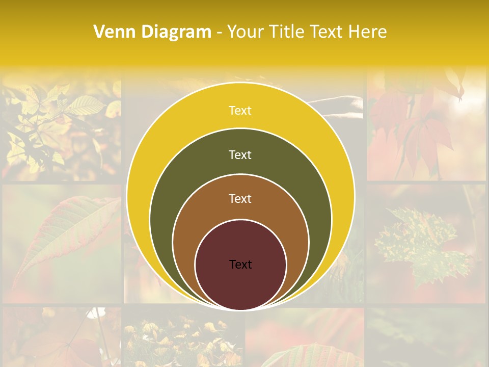 Fall Leaves Collage PowerPoint Template