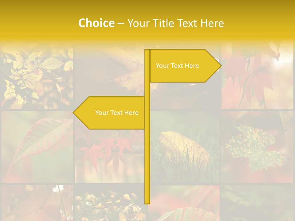 Fall Leaves Collage PowerPoint Template