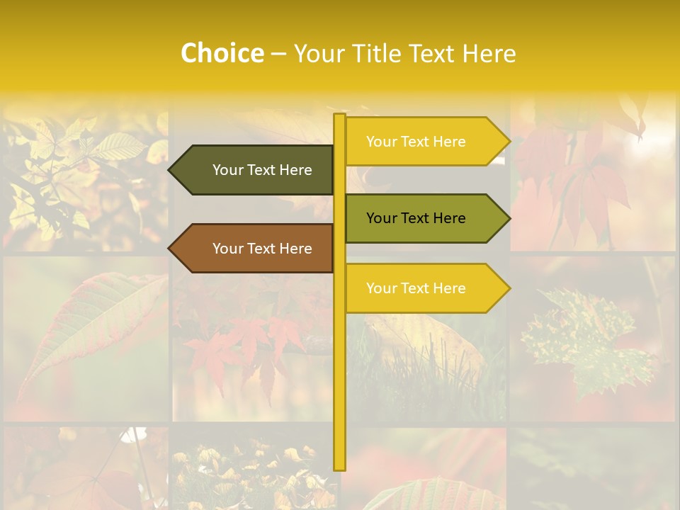 Fall Leaves Collage PowerPoint Template