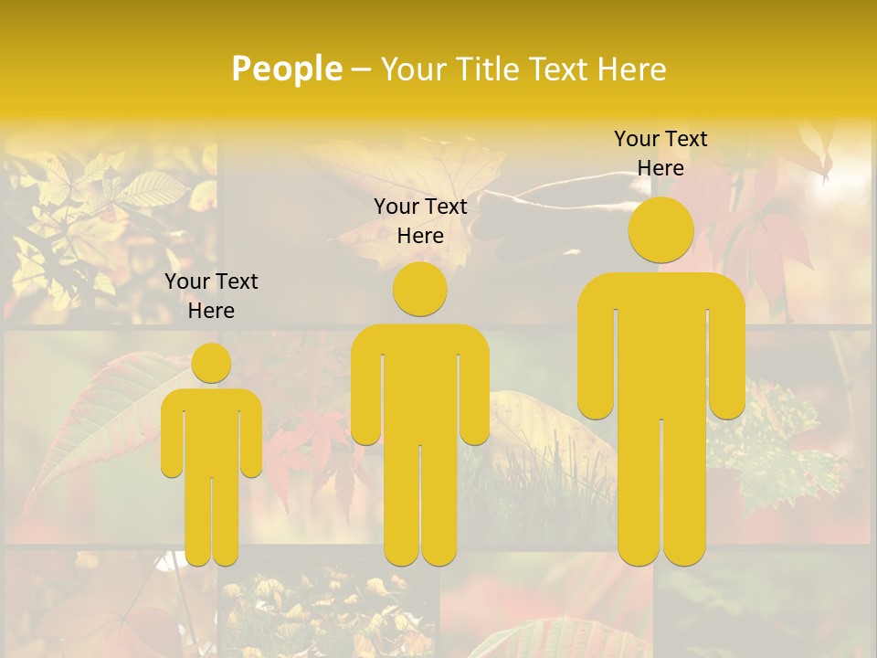 Fall Leaves Collage PowerPoint Template