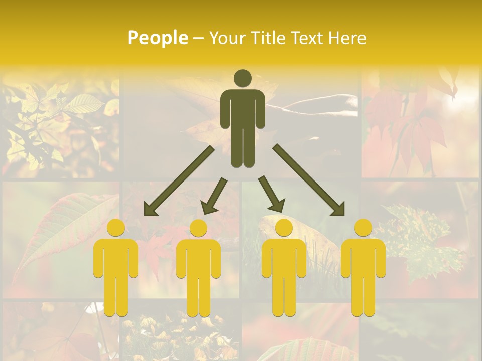 Fall Leaves Collage PowerPoint Template