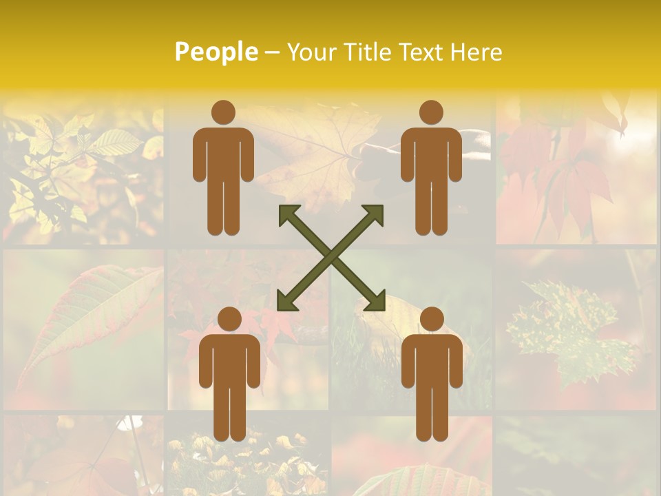 Fall Leaves Collage PowerPoint Template