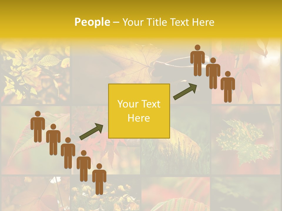 Fall Leaves Collage PowerPoint Template