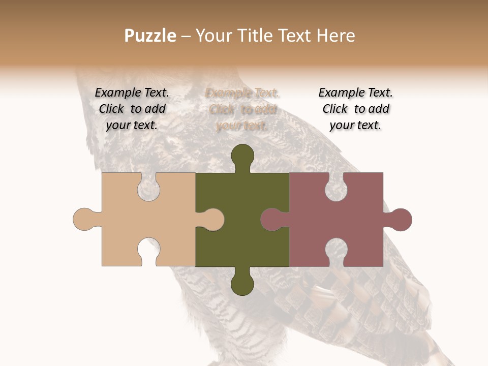 Owl White Background PowerPoint Template