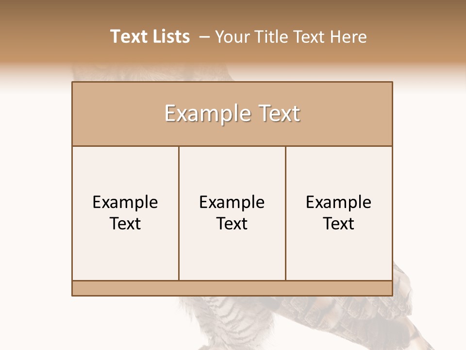 Owl White Background PowerPoint Template