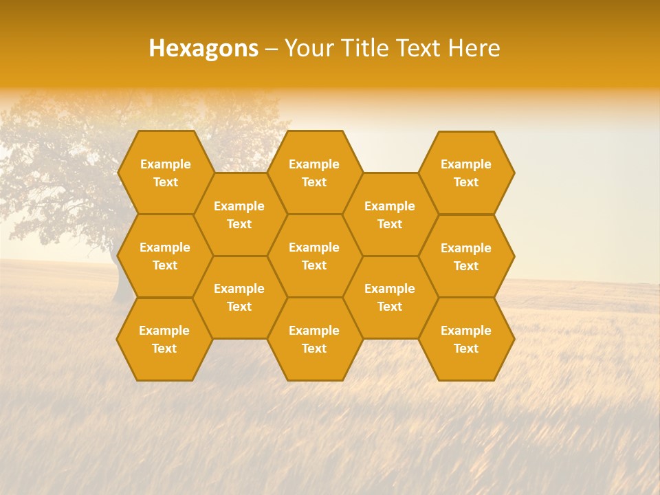 One Outdoors Sunset PowerPoint Template