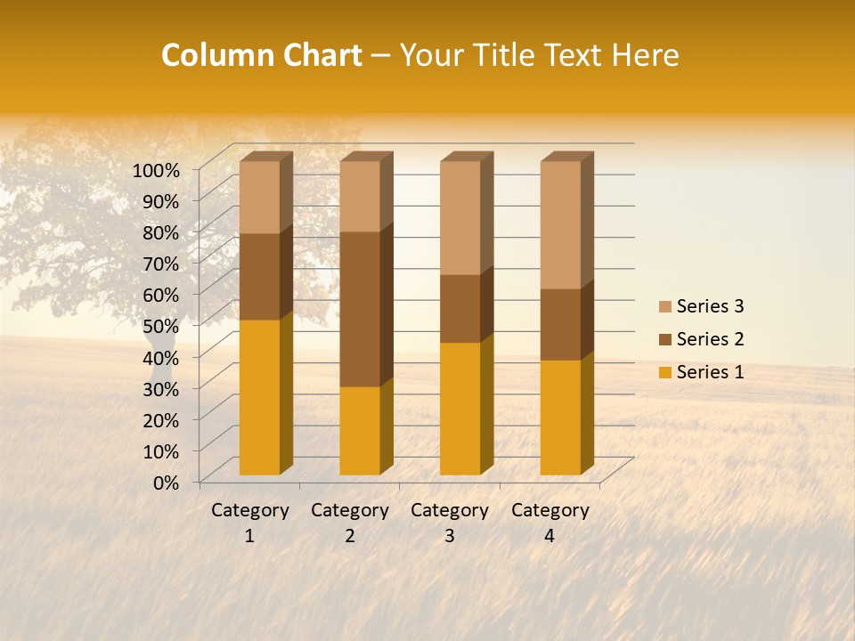 One Outdoors Sunset PowerPoint Template