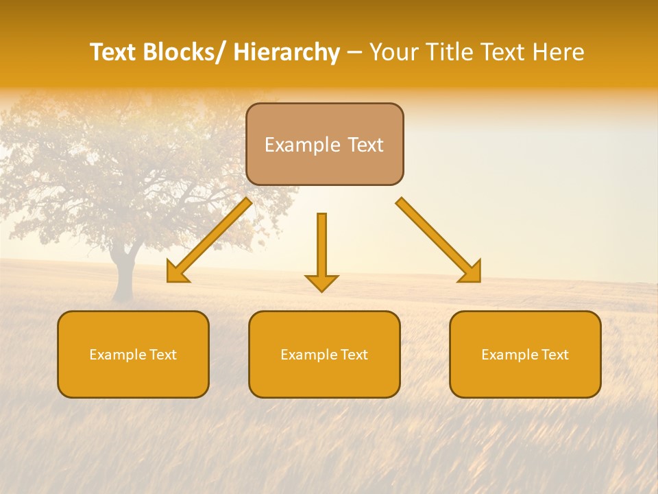 One Outdoors Sunset PowerPoint Template