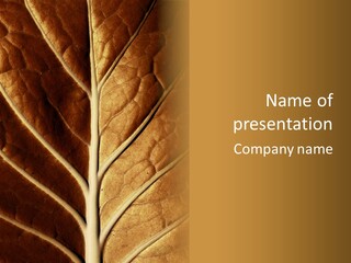 Nature Lounge PowerPoint Template
