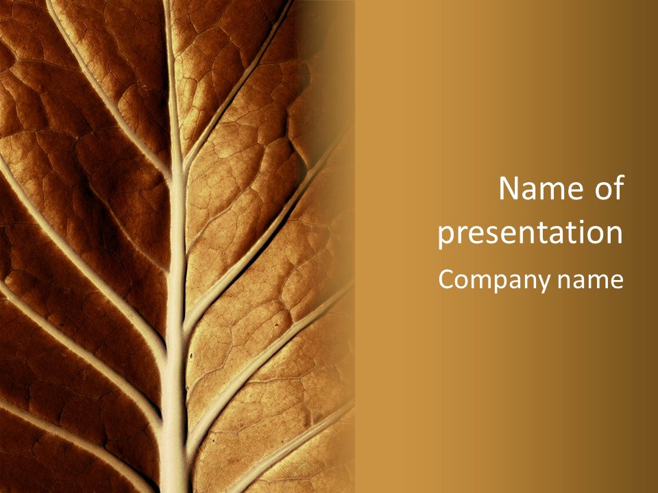 Nature Lounge PowerPoint Template