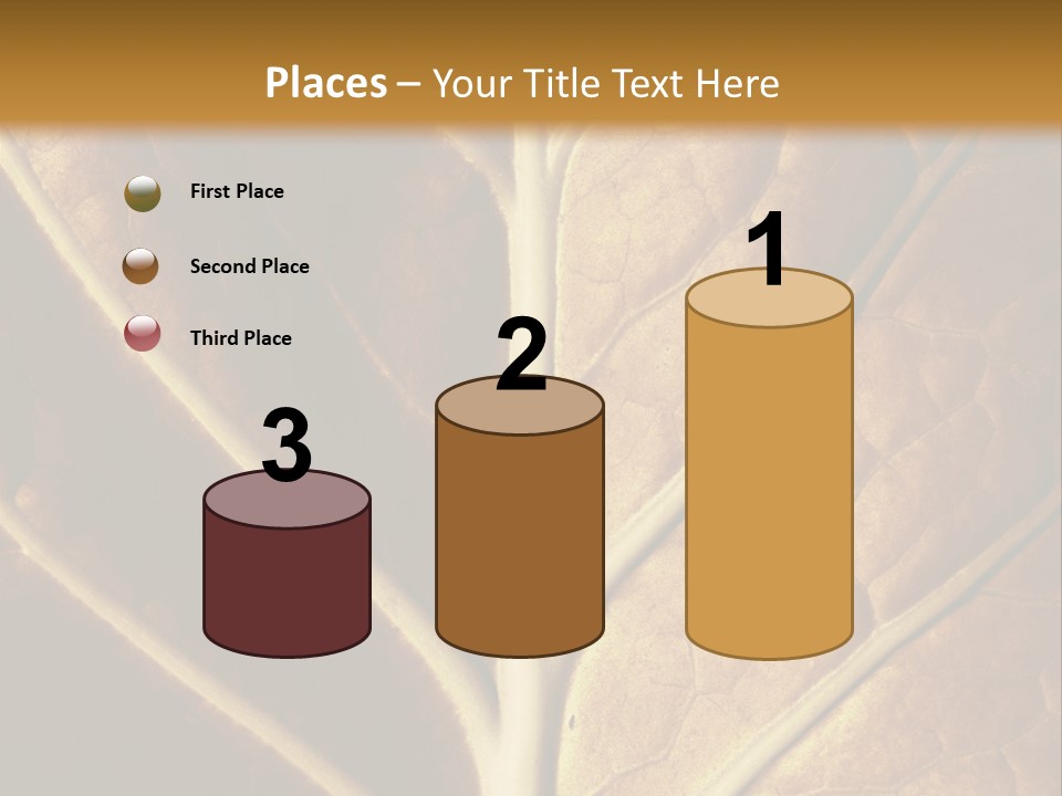 Nature Lounge PowerPoint Template