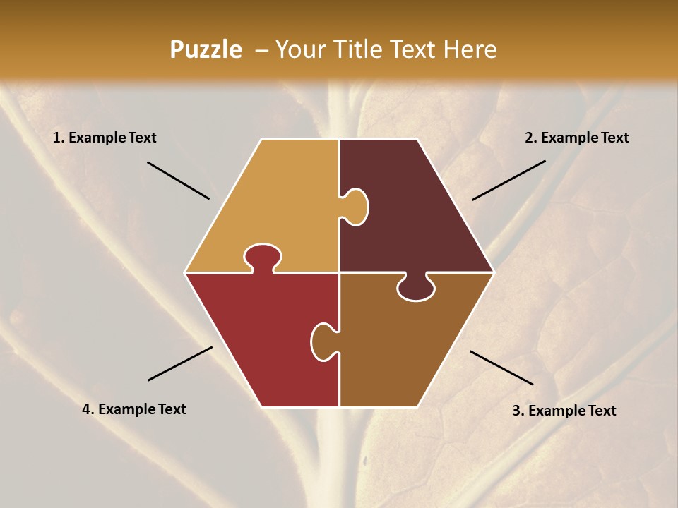 Nature Lounge PowerPoint Template